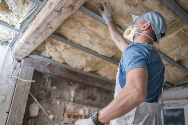 Best Geographic-Specific Insulation Services in Titusville, FL