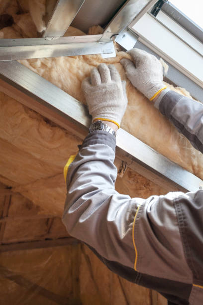 Best Insulation Maintenance and Repair in Titusville, FL